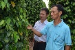 Xen canh hiệu quả tại VKETI